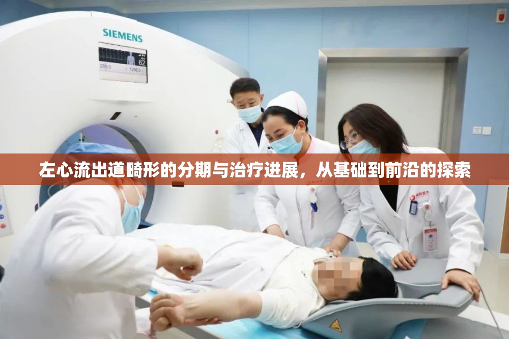 左心流出道畸形的分期與治療進展，從基礎到前沿的探索