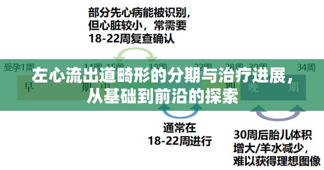 左心流出道畸形的分期與治療進展，從基礎到前沿的探索