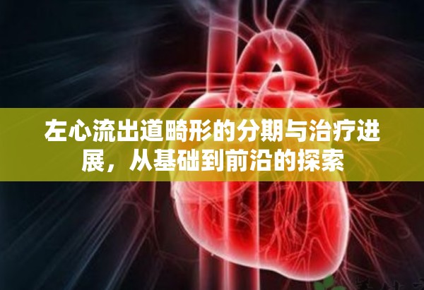 左心流出道畸形的分期與治療進展，從基礎到前沿的探索