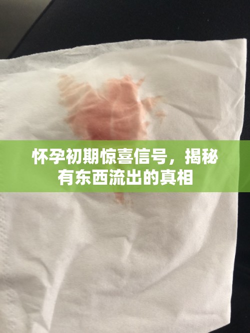 懷孕初期驚喜信號，揭秘有東西流出的真相
