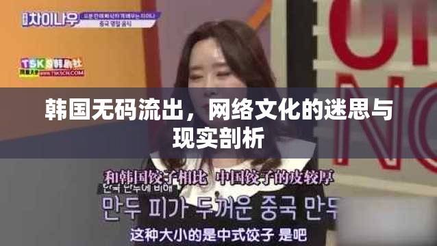韓國(guó)無碼流出，網(wǎng)絡(luò)文化的迷思與現(xiàn)實(shí)剖析