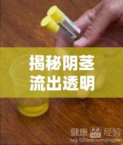 揭秘陰莖流出透明液體的真相，透明中的健康密碼