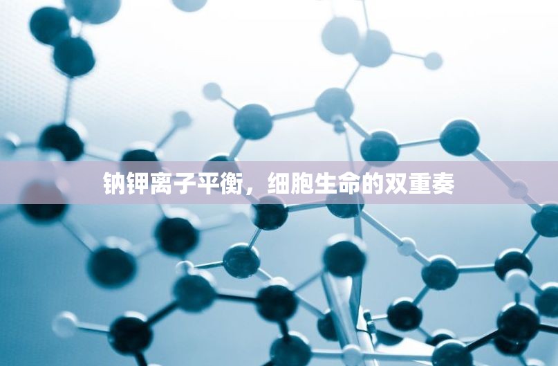 鈉鉀離子平衡，細(xì)胞生命的雙重奏