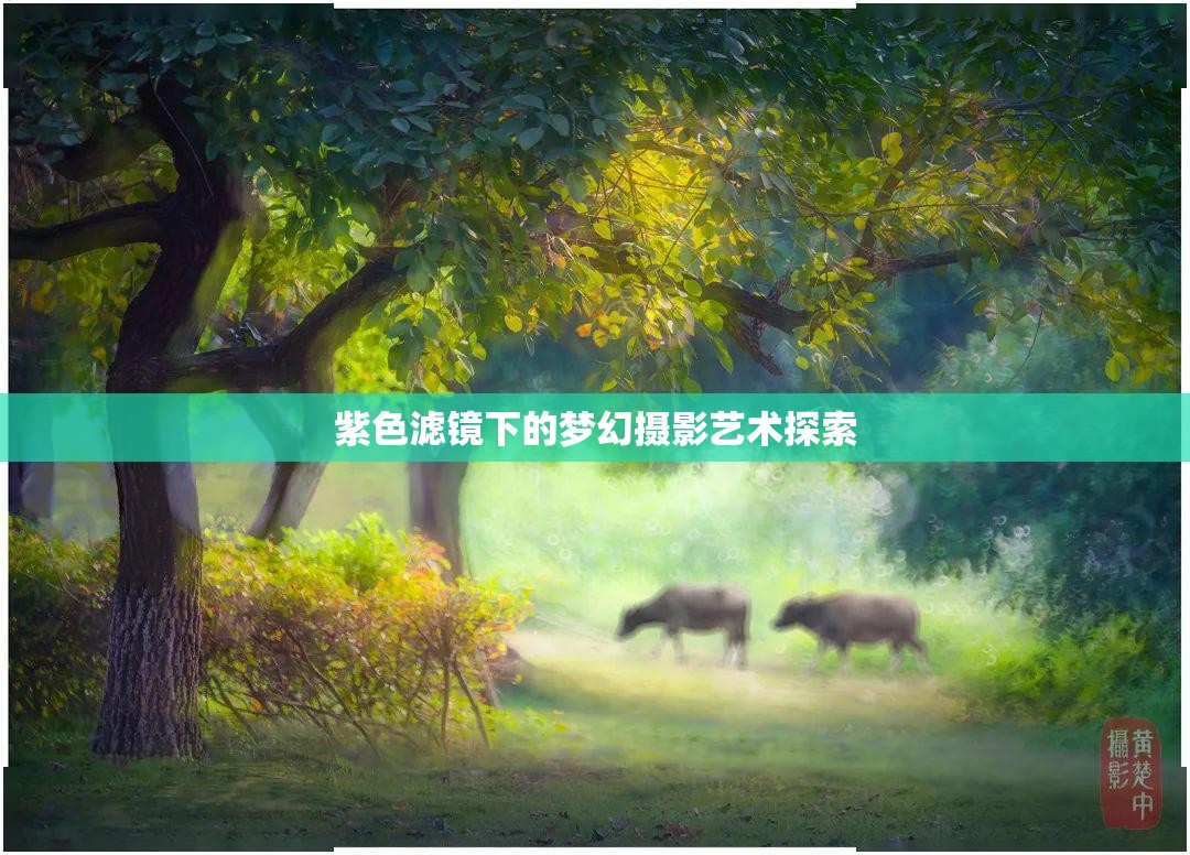紫色濾鏡下的夢(mèng)幻攝影藝術(shù)探索