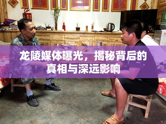 龍陵媒體曝光，揭秘背后的真相與深遠(yuǎn)影響