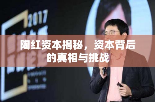 陶紅資本揭秘，資本背后的真相與挑戰(zhàn)