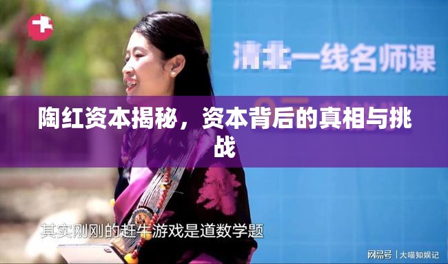 陶紅資本揭秘，資本背后的真相與挑戰(zhàn)