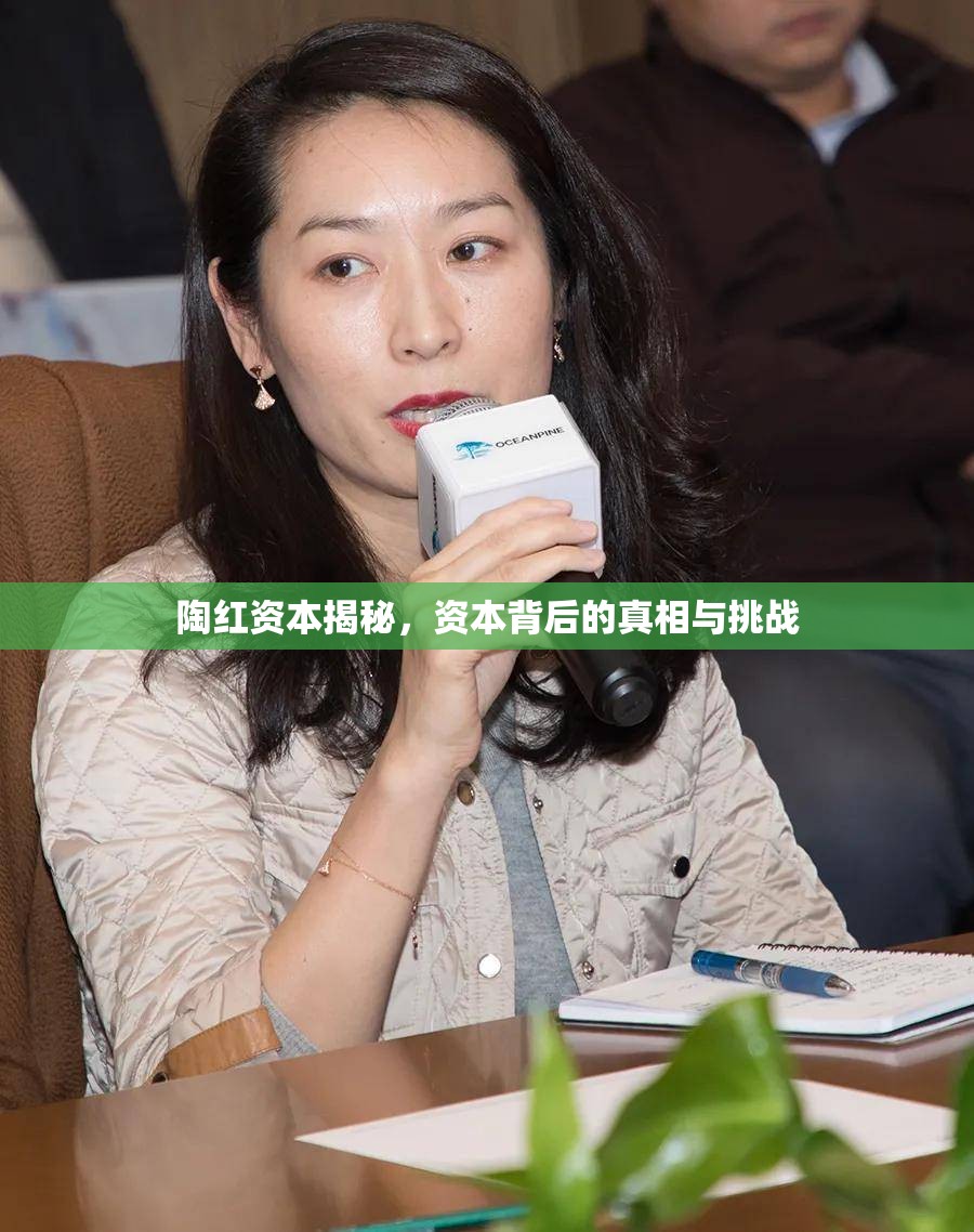 陶紅資本揭秘，資本背后的真相與挑戰(zhàn)