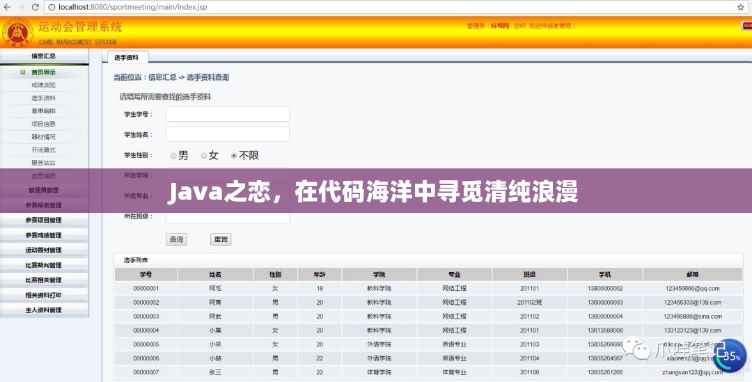 Java之戀，在代碼海洋中尋覓清純浪漫