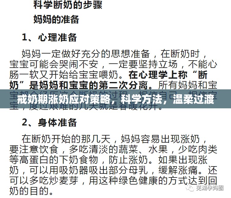戒奶期漲奶應(yīng)對(duì)策略，科學(xué)方法，溫柔過(guò)渡