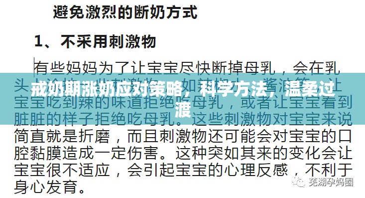 戒奶期漲奶應(yīng)對(duì)策略，科學(xué)方法，溫柔過(guò)渡