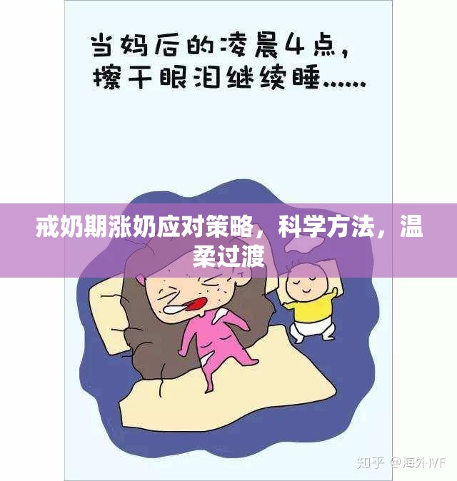 戒奶期漲奶應(yīng)對(duì)策略，科學(xué)方法，溫柔過(guò)渡