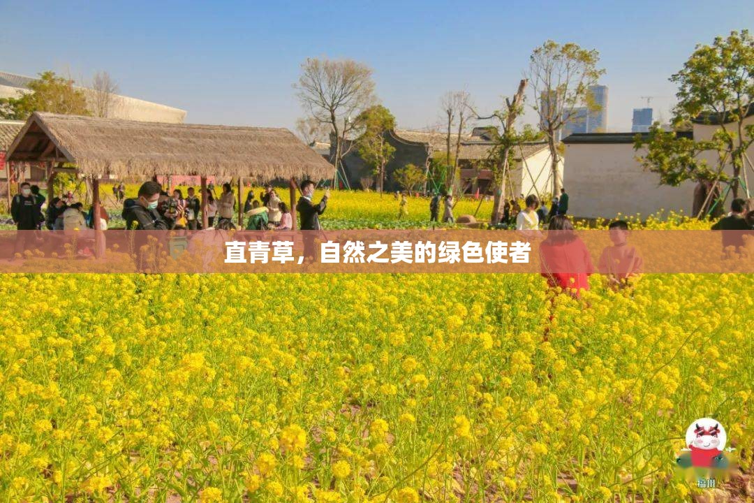 直青草，自然之美的綠色使者