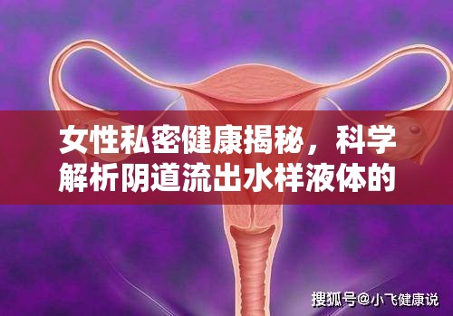 女性私密健康揭秘，科學(xué)解析陰道流出水樣液體的原因