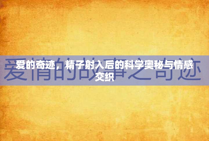 愛的奇跡，精子射入后的科學(xué)奧秘與情感交織