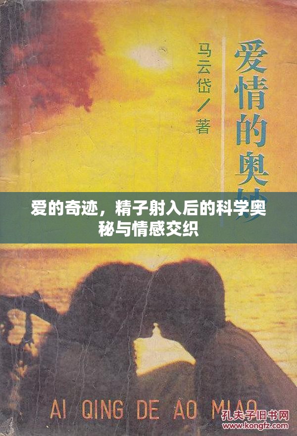 愛的奇跡，精子射入后的科學(xué)奧秘與情感交織