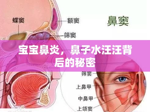 寶寶鼻炎，鼻子水汪汪背后的秘密