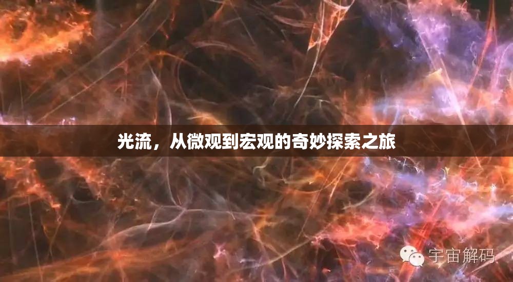 光流，從微觀到宏觀的奇妙探索之旅