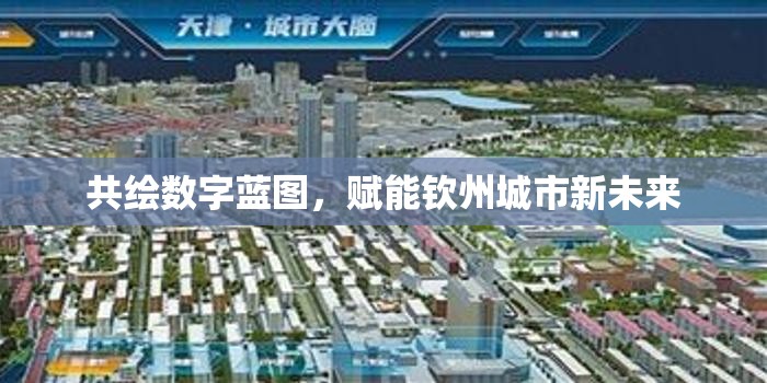 共繪數(shù)字藍(lán)圖，賦能欽州城市新未來