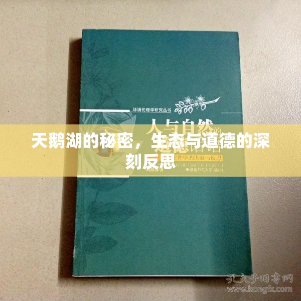 天鵝湖的秘密，生態(tài)與道德的深刻反思