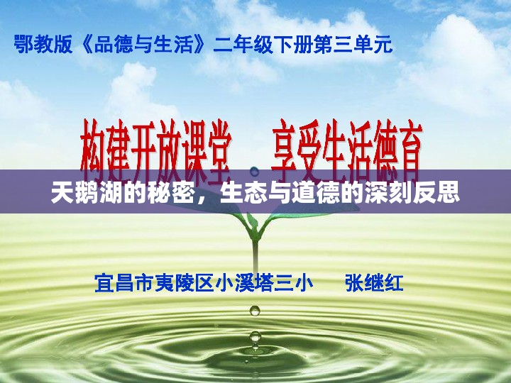 天鵝湖的秘密，生態(tài)與道德的深刻反思
