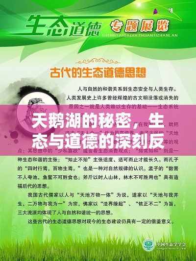 天鵝湖的秘密，生態(tài)與道德的深刻反思