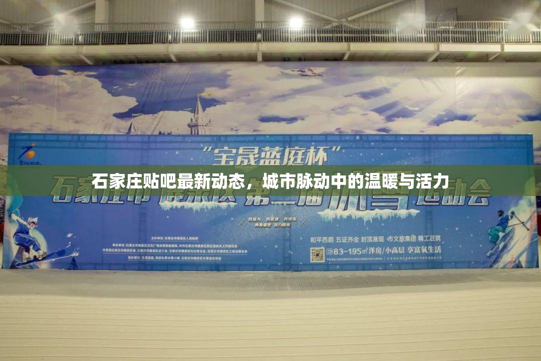 石家莊貼吧最新動(dòng)態(tài)，城市脈動(dòng)中的溫暖與活力