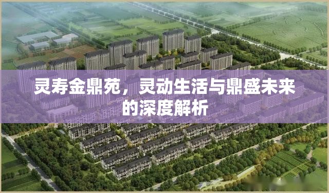 靈壽金鼎苑，靈動(dòng)生活與鼎盛未來(lái)的深度解析