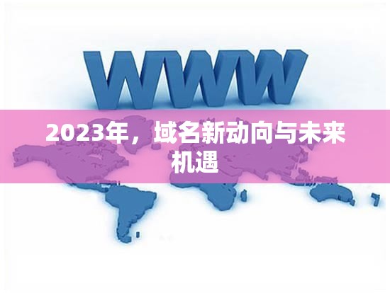 2023年，域名新動向與未來機遇