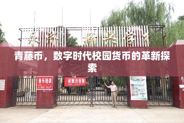 青藤幣，數(shù)字時(shí)代校園貨幣的革新探索