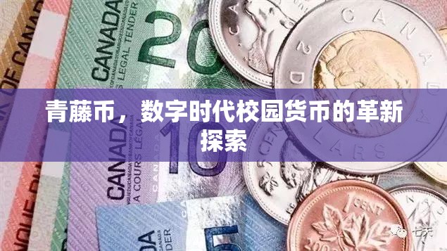 青藤幣，數(shù)字時(shí)代校園貨幣的革新探索