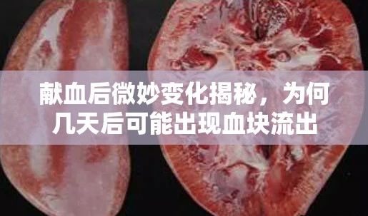 獻(xiàn)血后微妙變化揭秘，為何幾天后可能出現(xiàn)血塊流出
