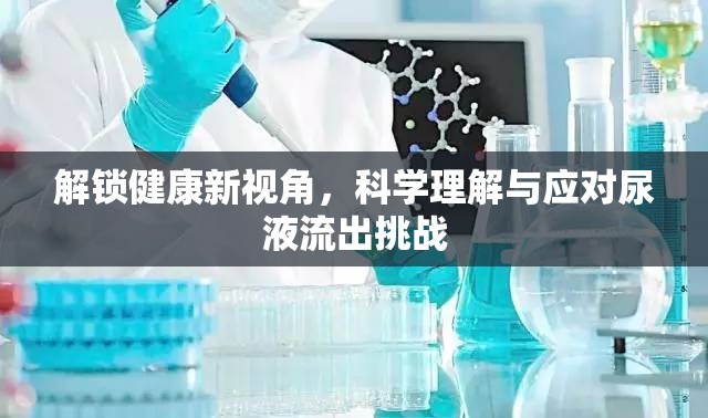解鎖健康新視角，科學(xué)理解與應(yīng)對(duì)尿液流出挑戰(zhàn)