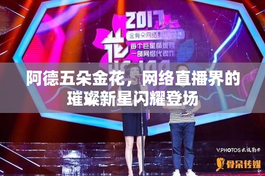 阿德五朵金花，網(wǎng)絡(luò)直播界的璀璨新星閃耀登場(chǎng)