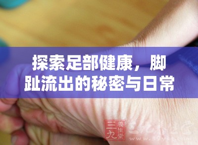 探索足部健康，腳趾流出的秘密與日常護(hù)理的微妙平衡