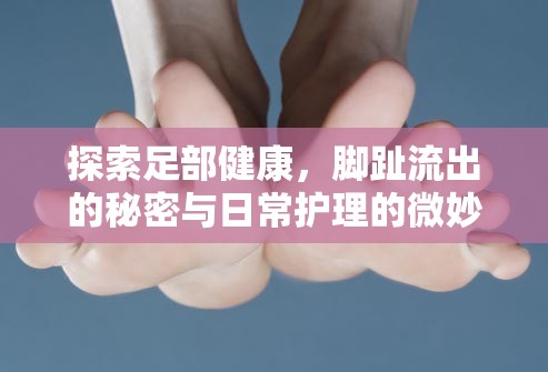 探索足部健康，腳趾流出的秘密與日常護(hù)理的微妙平衡