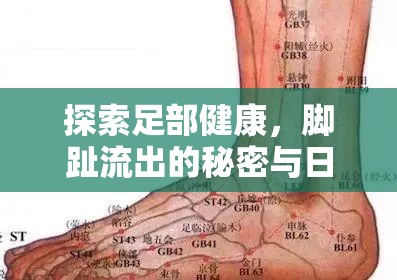 探索足部健康，腳趾流出的秘密與日常護(hù)理的微妙平衡