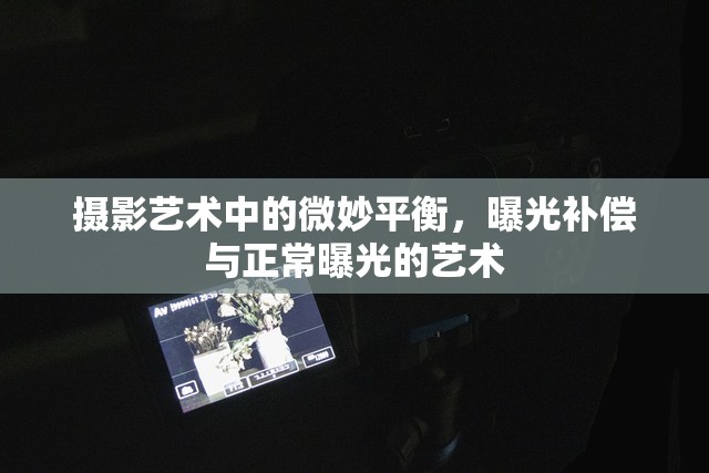 攝影藝術(shù)中的微妙平衡，曝光補(bǔ)償與正常曝光的藝術(shù)