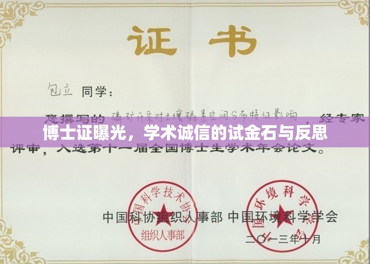 博士證曝光，學(xué)術(shù)誠(chéng)信的試金石與反思