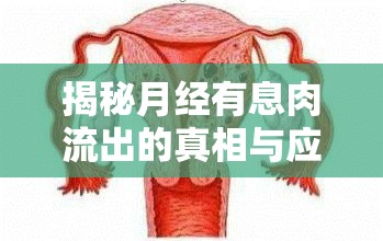 揭秘月經(jīng)有息肉流出的真相與應(yīng)對策略