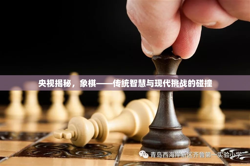 央視揭秘，象棋——傳統(tǒng)智慧與現代挑戰(zhàn)的碰撞