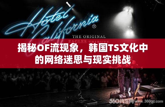 揭秘OF流現(xiàn)象，韓國TS文化中的網(wǎng)絡(luò)迷思與現(xiàn)實挑戰(zhàn)