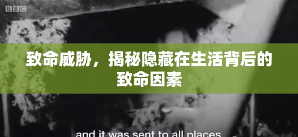 致命威脅，揭秘隱藏在生活背后的致命因素