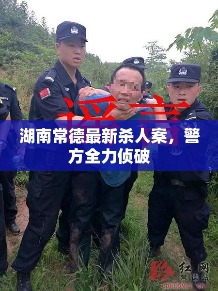 湖南常德最新殺人案，警方全力偵破