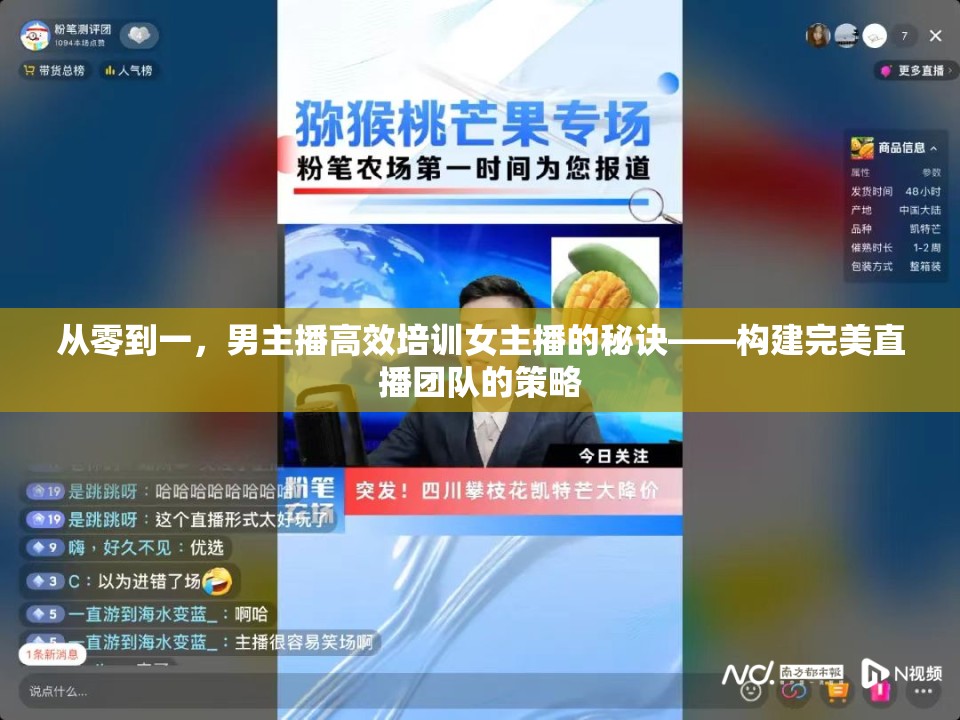 從零到一，男主播高效培訓(xùn)女主播的秘訣——構(gòu)建完美直播團隊的策略