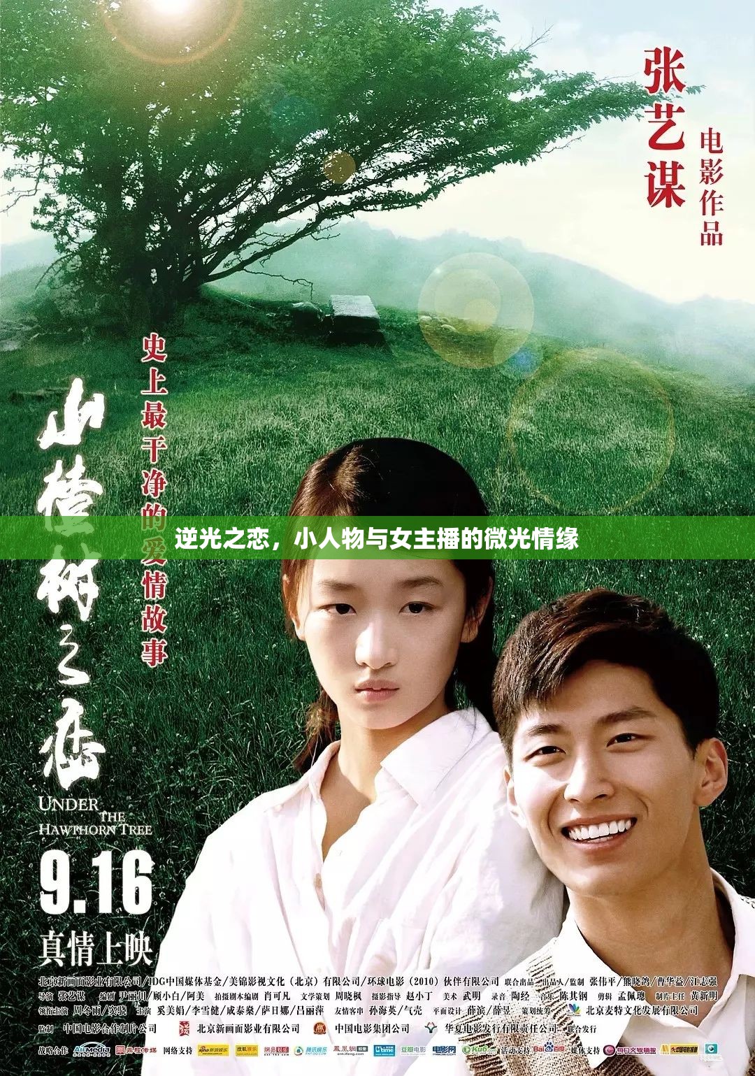 逆光之戀，小人物與女主播的微光情緣