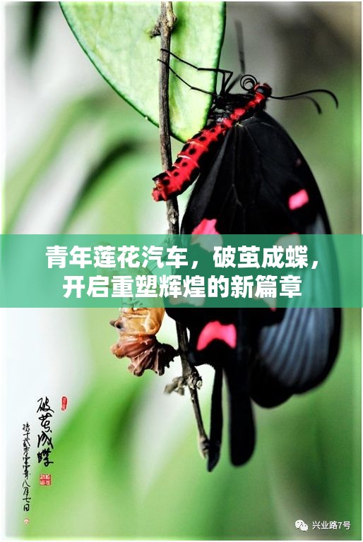 青年蓮花汽車，破繭成蝶，開啟重塑輝煌的新篇章