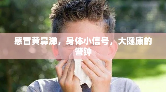 感冒黃鼻涕，身體小信號，大健康的警鐘