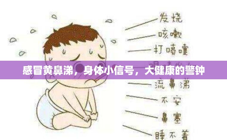 感冒黃鼻涕，身體小信號，大健康的警鐘