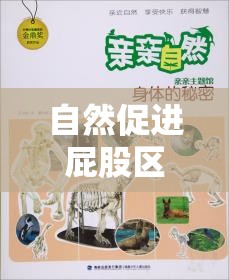 自然促進屁股區(qū)域粘液分泌，探索身體的奇妙奧秘